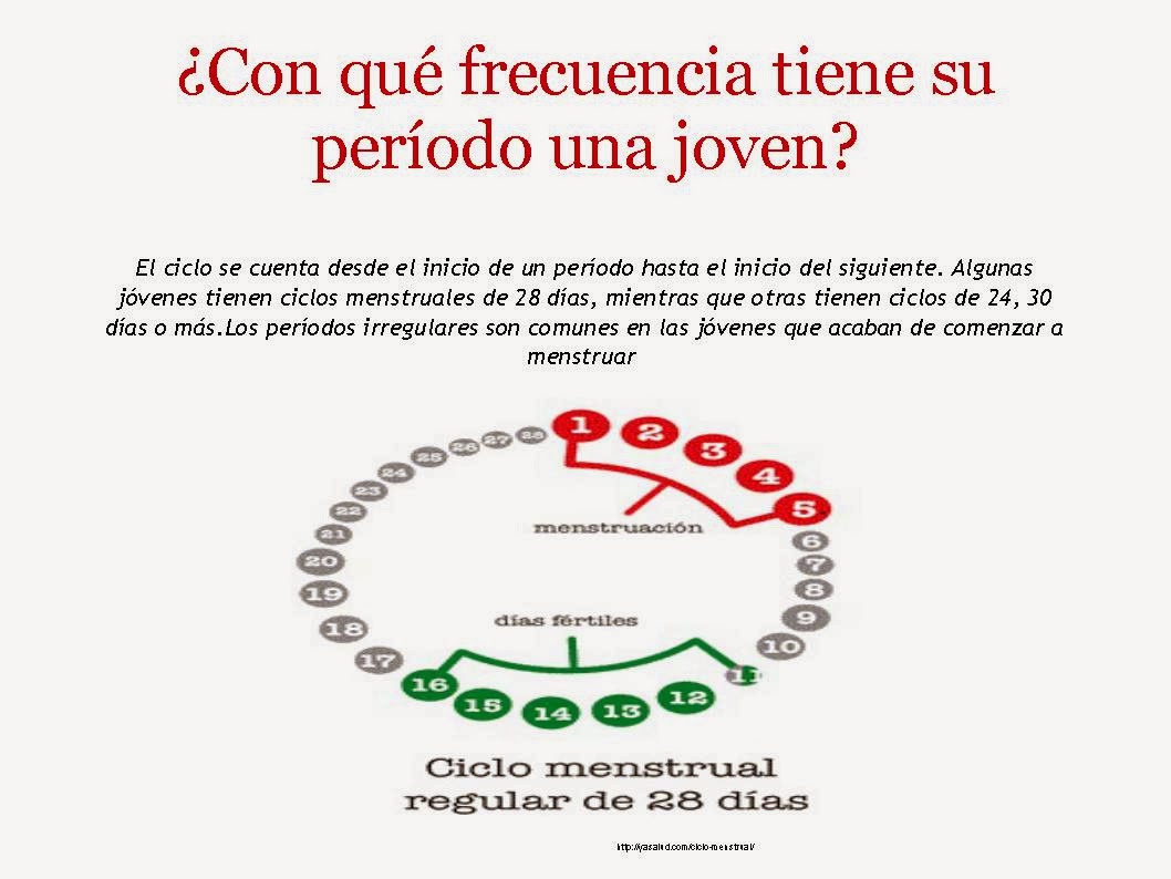 Porno un pequeño miembro contra grande